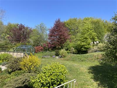 Picture 24